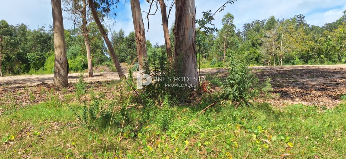 Terreno ID.41604 - Lote en venta Rincón del Indio Punta del Este