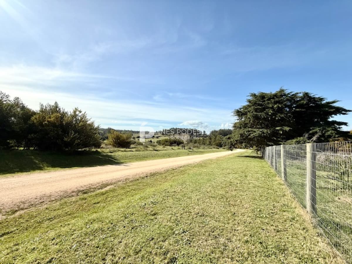 Terreno ID.41729 - Lote de 5000 m2 en Mangrullos en Venta