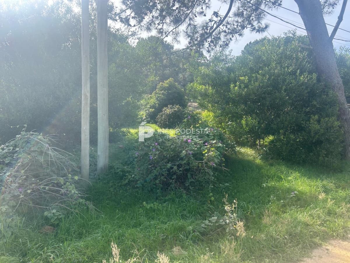 Terreno ID.42172 - Lote en venta en Manantiales