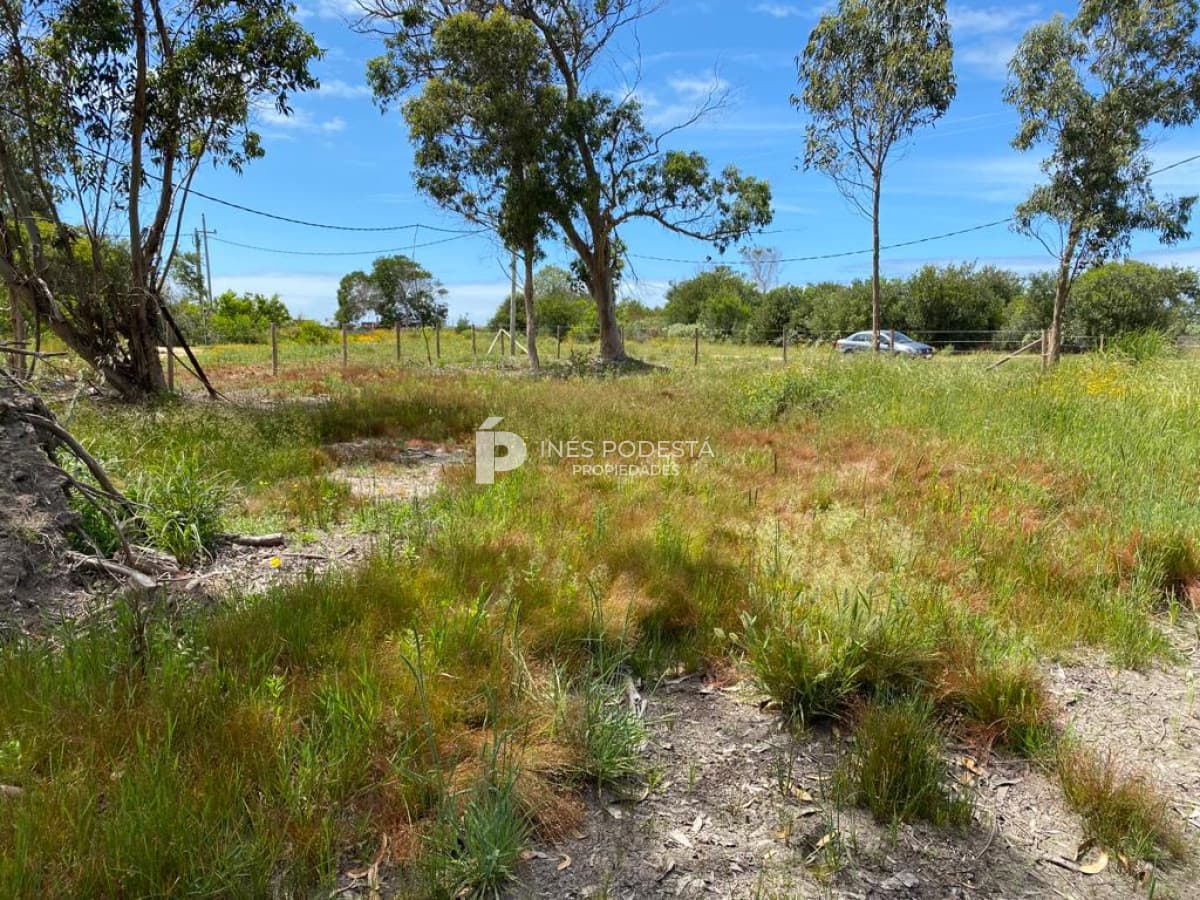 Terreno ID.39267 - Santa Mónica km 177