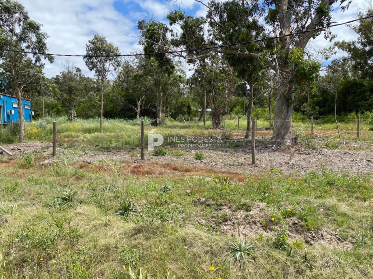 Terreno ID.39267 - Santa Mónica km 177