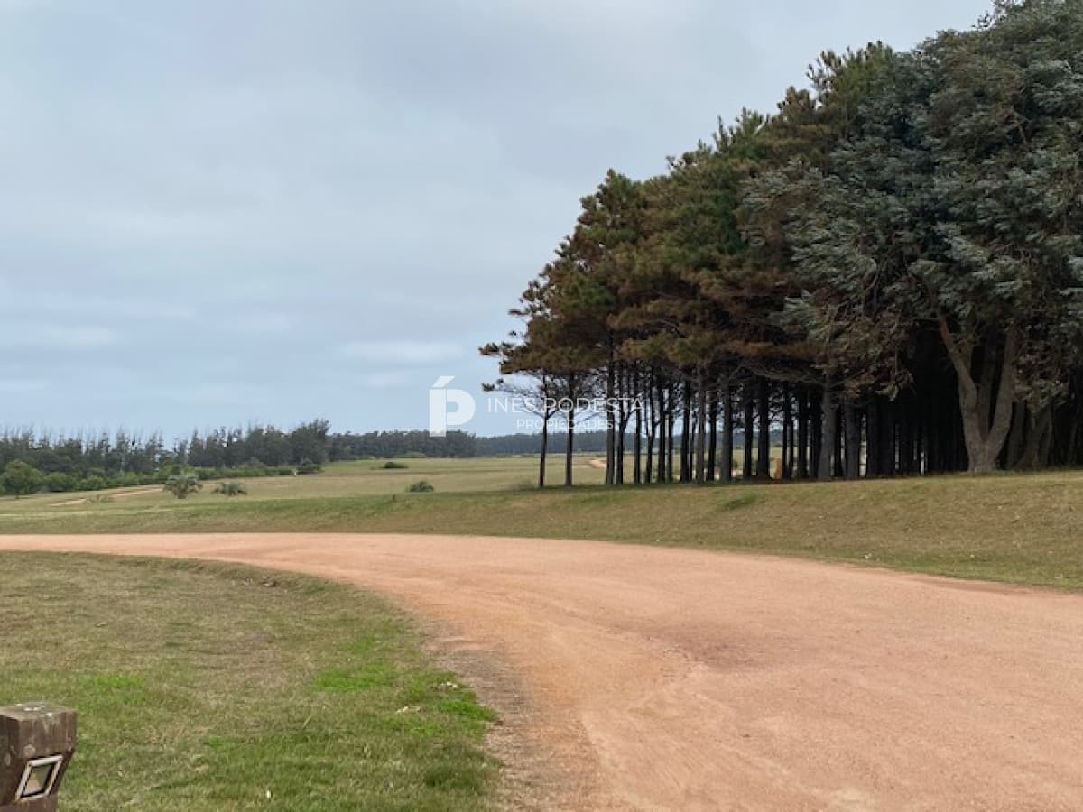 Terreno ID.38591 - LAS GARZAS, GRAN LOTE PRÓXIMO AL MAR