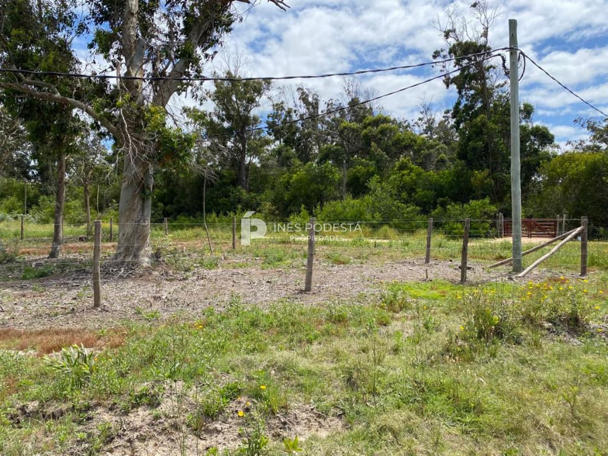 Terreno ID.39267 - Santa Mónica km 177