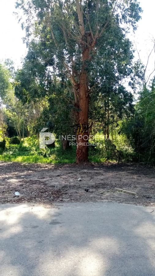 Terreno ID.9878 - TERRENO EN GOLF