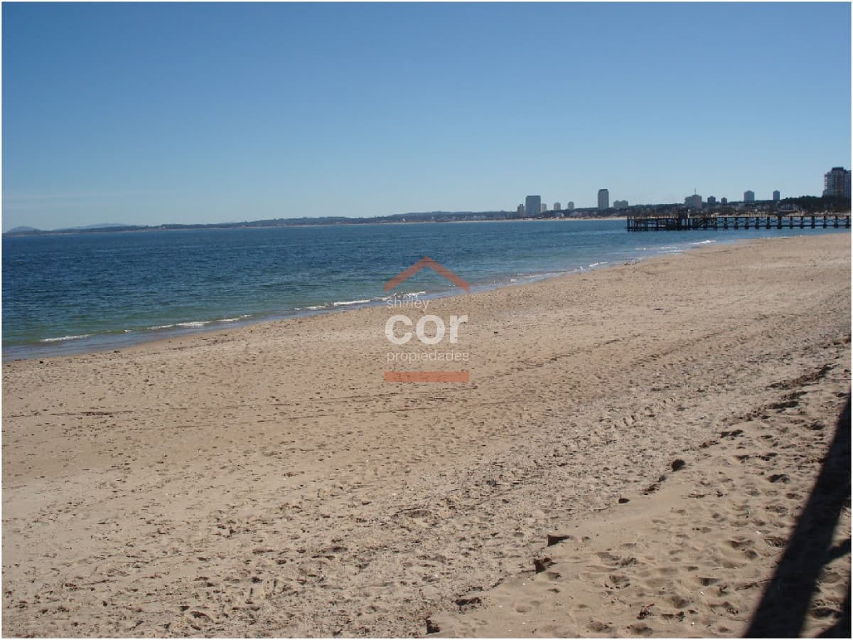Apartamento en Punta del Este, Mansa