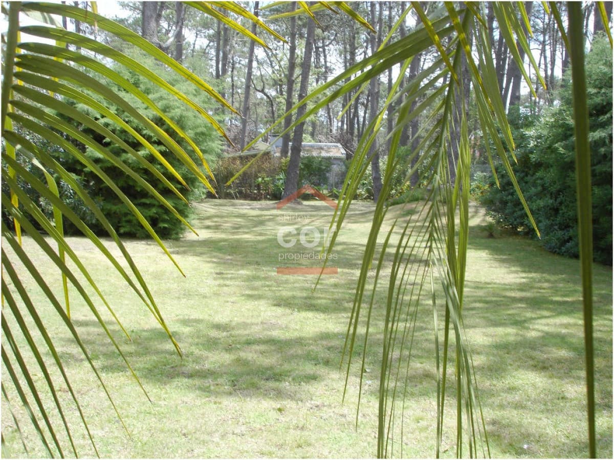 Casa en La Barra, Montoya