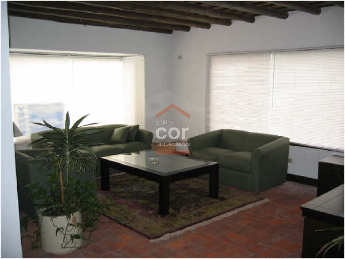 Local en Punta del Este, Roosevelt