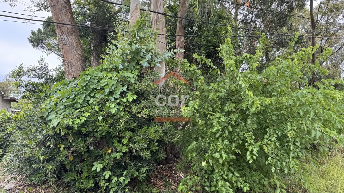 Terreno en La Barra, El Tesoro