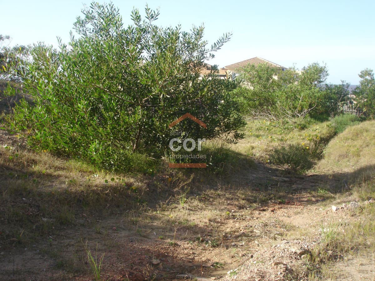 Terreno en La Barra, Montoya