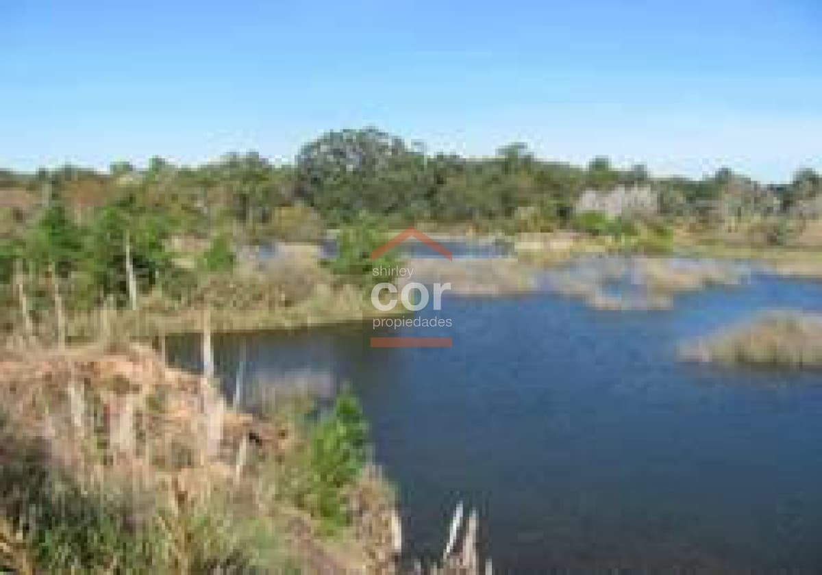 Terreno en Punta Ballena, Camino Lussich