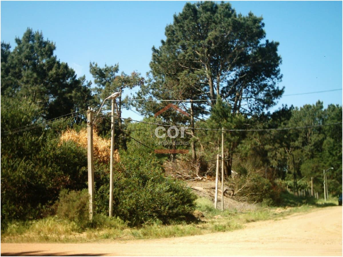 Terreno en Punta del Este, Brava