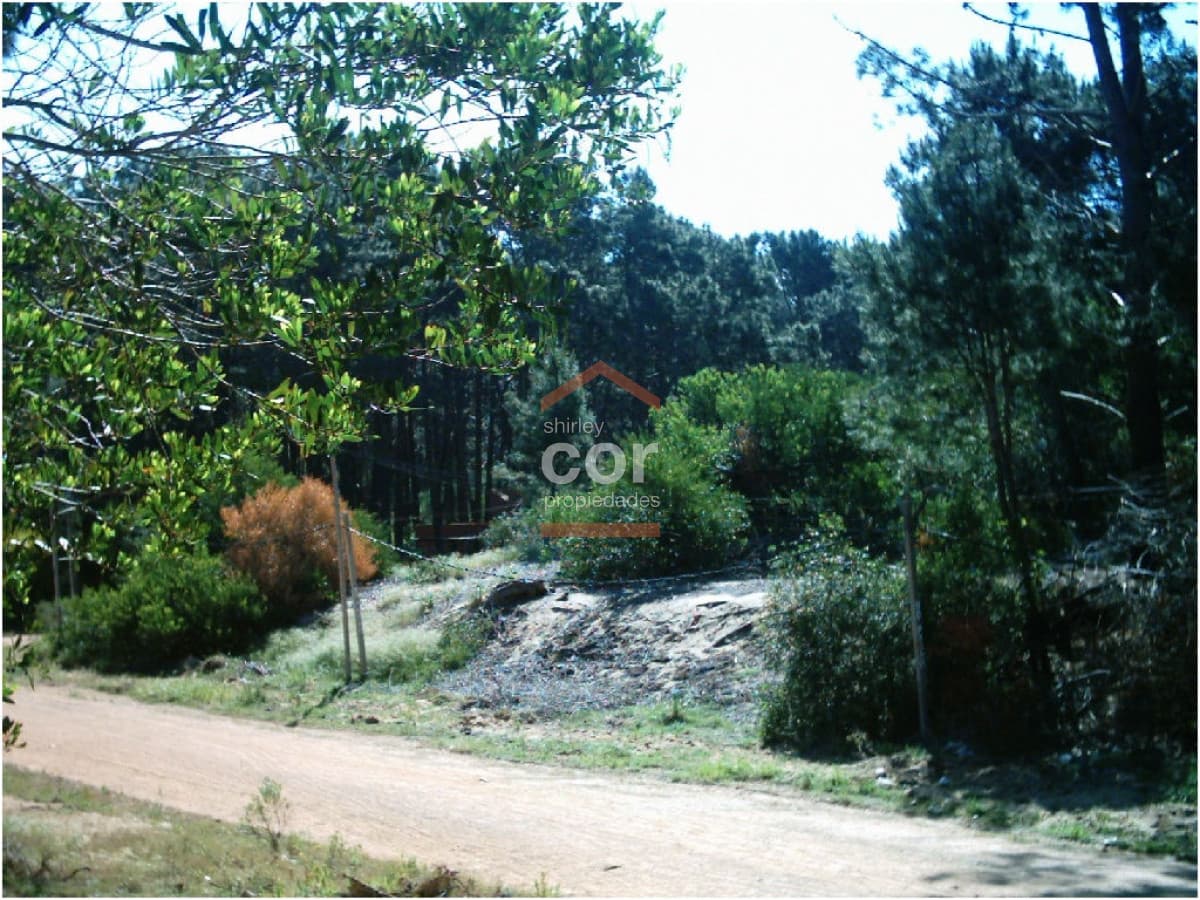 Terreno en Punta del Este, Brava