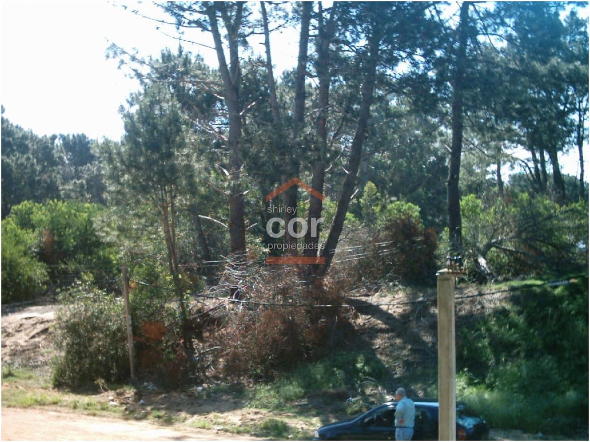 Terreno en Punta del Este, Brava