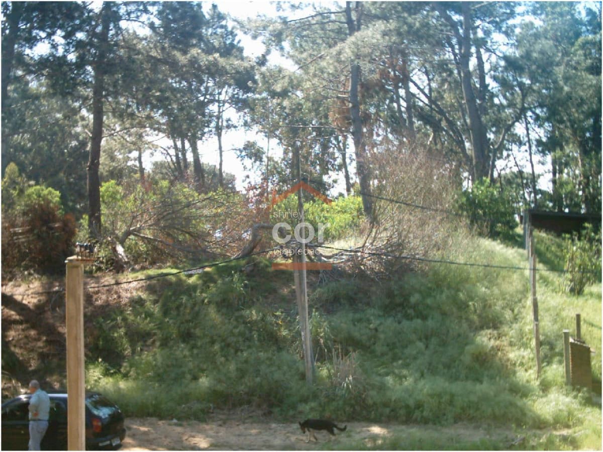 Terreno en Punta del Este, Brava