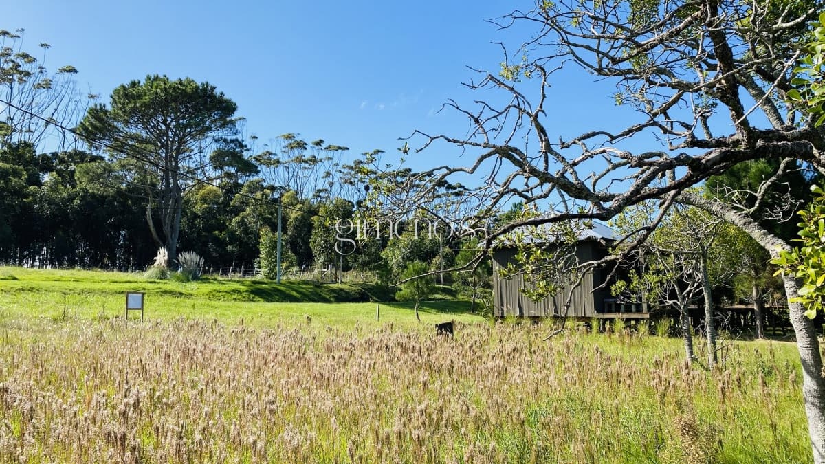 Venta terreno en San Vicente 750 mts - Manantiales - Punta del Este