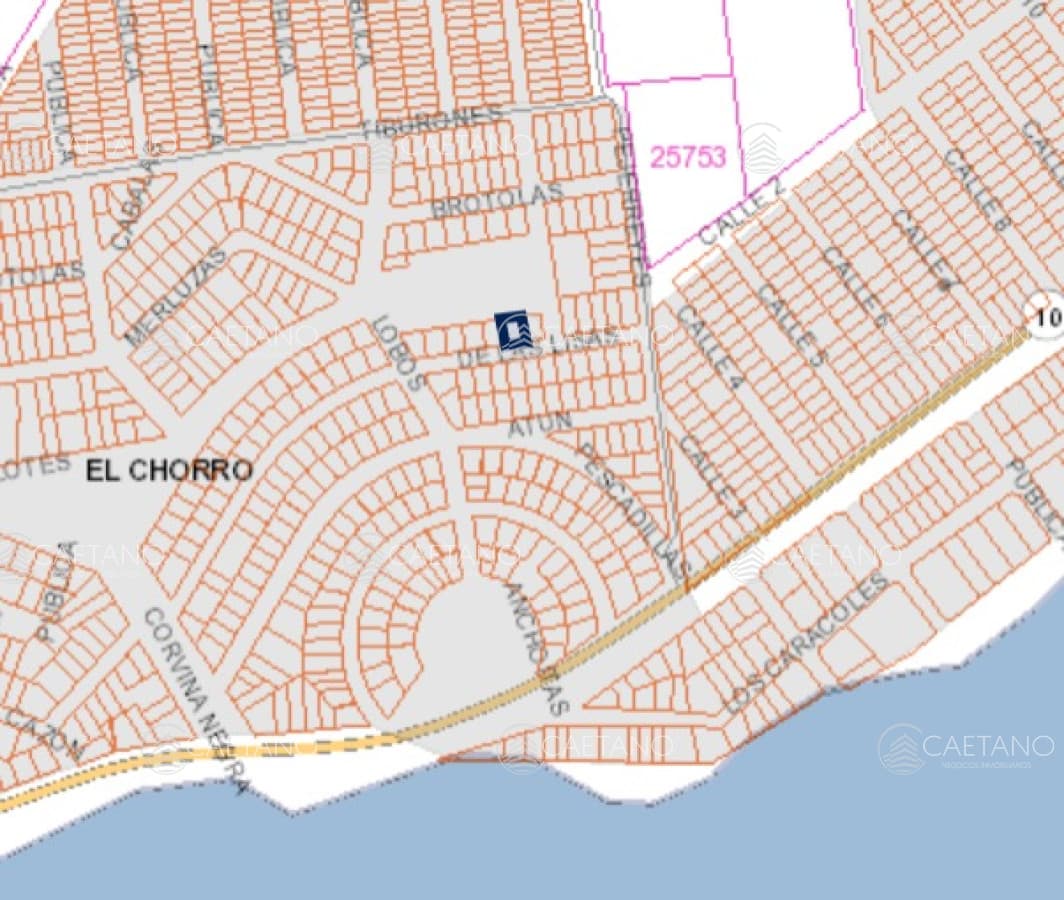 TERRENO EN EL CHORRO