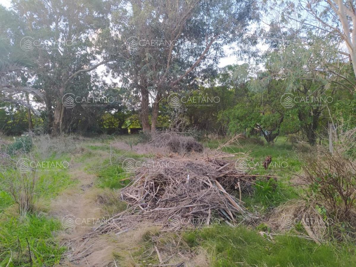 TERRENO EN EL CHORRO
