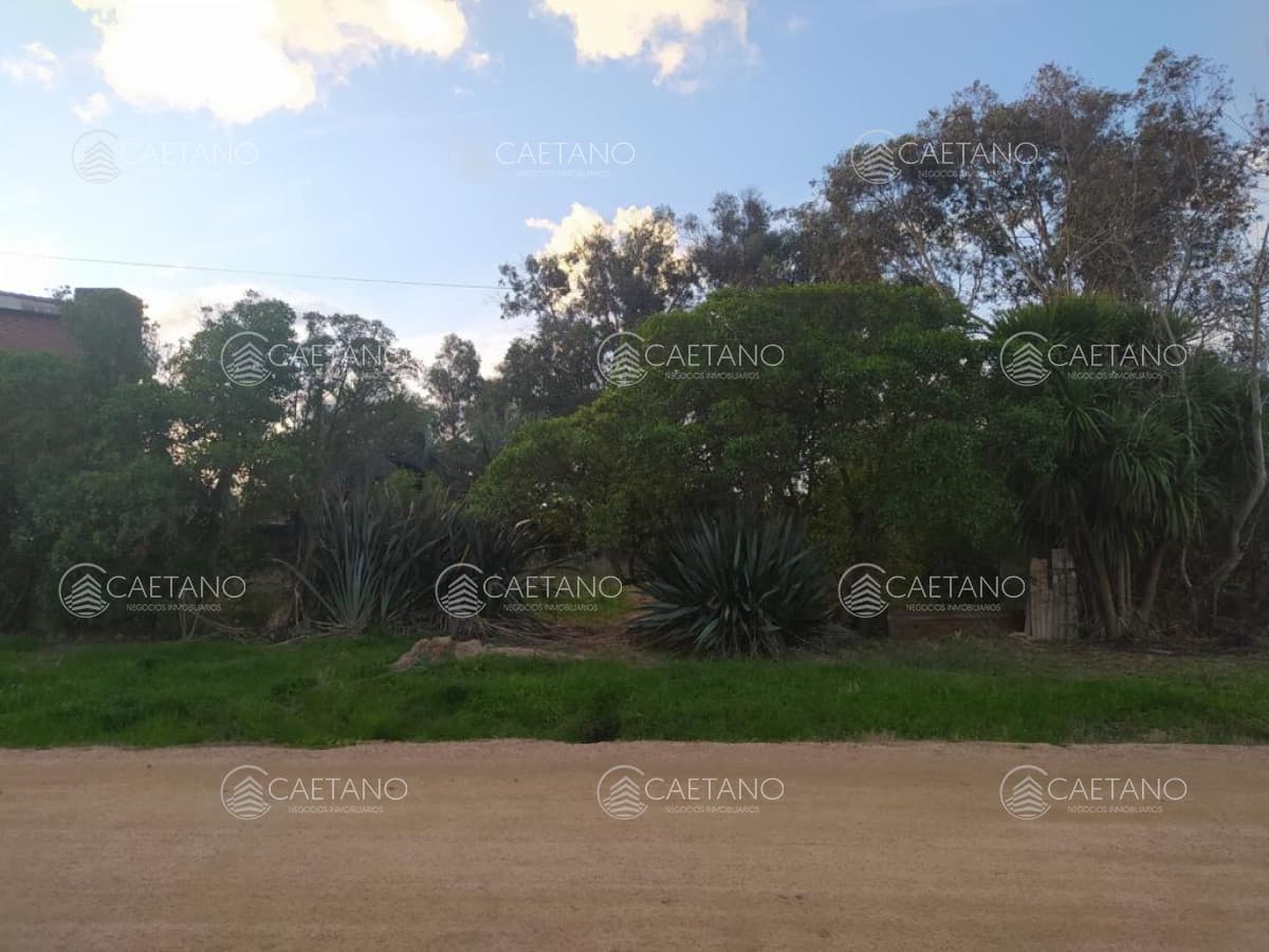 TERRENO EN EL CHORRO
