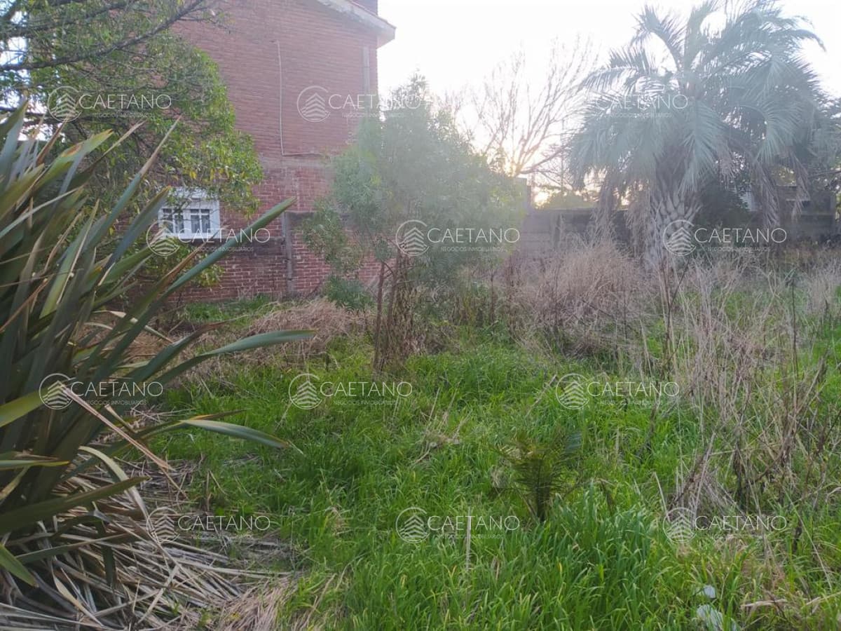 TERRENO EN EL CHORRO