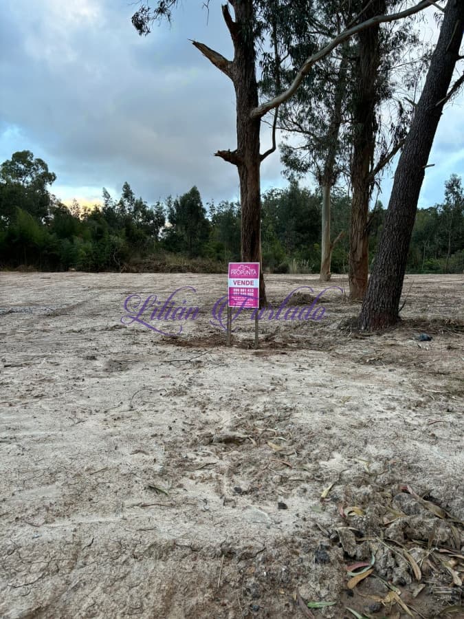 Gran Terreno en venta, Rincón del Indio. - Lilian Furtado Negocios Inmobiliarios