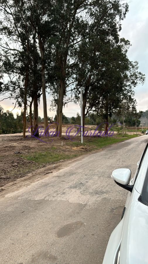 Gran Terreno en venta, Rincón del Indio. - Lilian Furtado Negocios Inmobiliarios