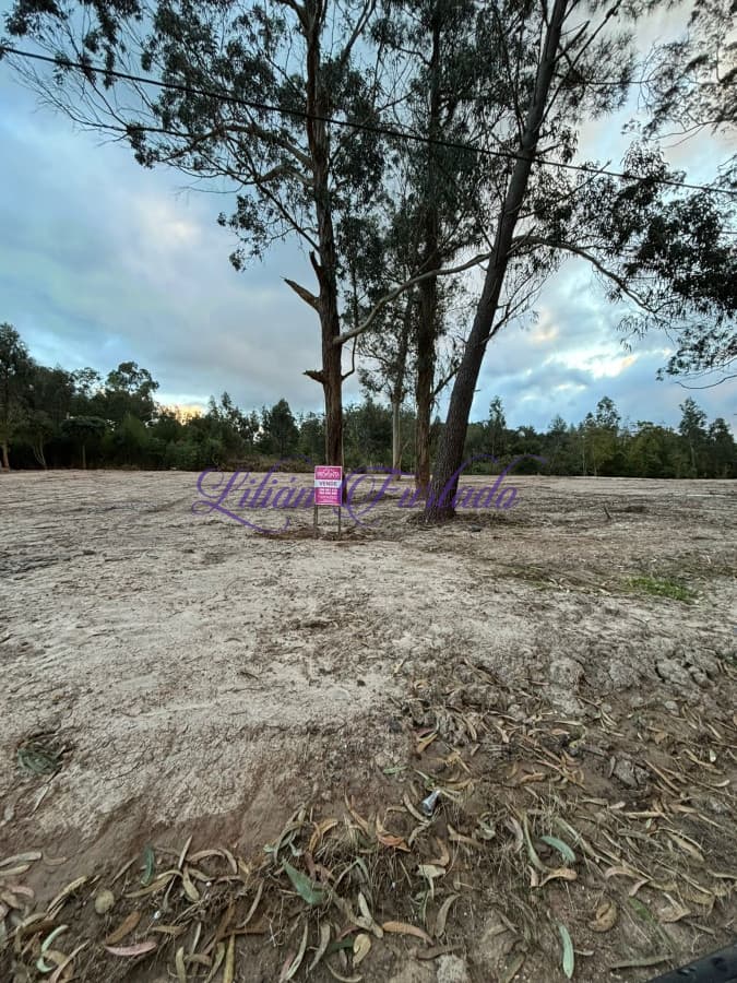 Gran Terreno en venta, Rincón del Indio. - Lilian Furtado Negocios Inmobiliarios