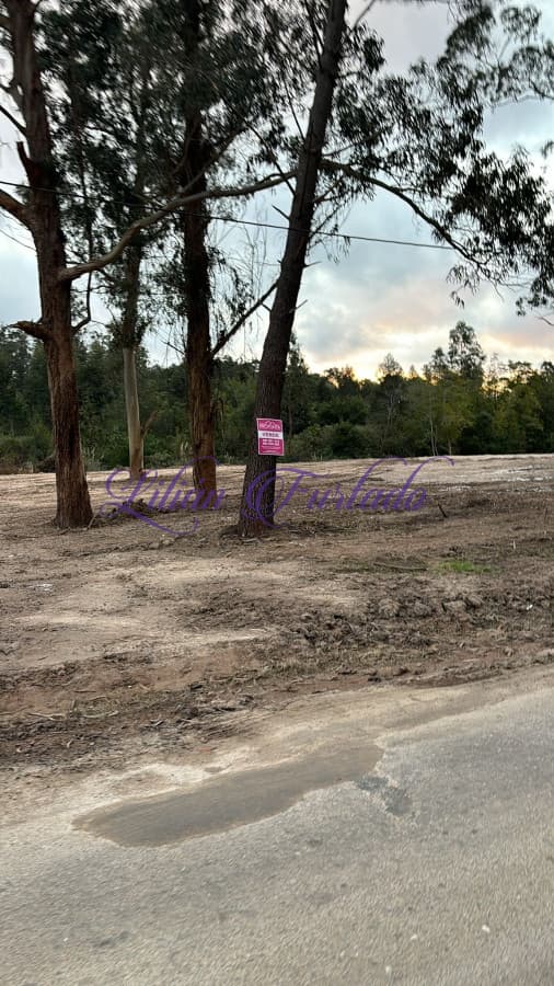 Gran Terreno en venta, Rincón del Indio. - Lilian Furtado Negocios Inmobiliarios