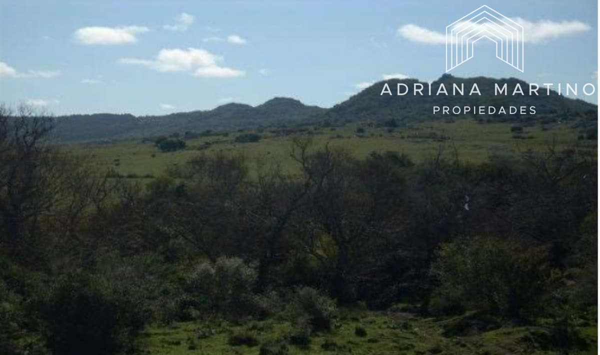 Hermoso Campo en Lavalleja .
