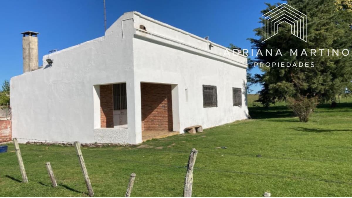 Campo agrícola ganadero en durazno