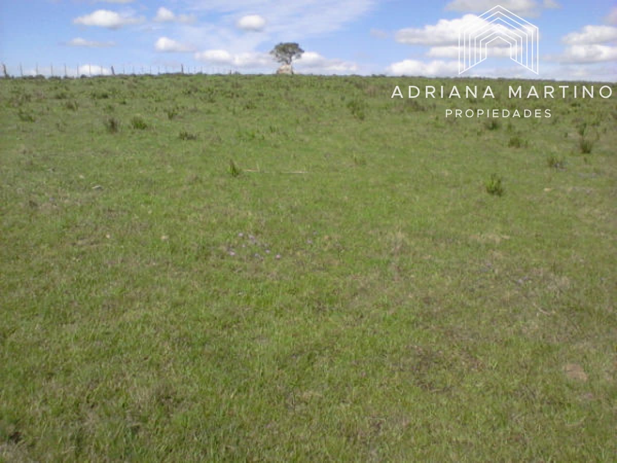 Campo Agricola Ganadero,