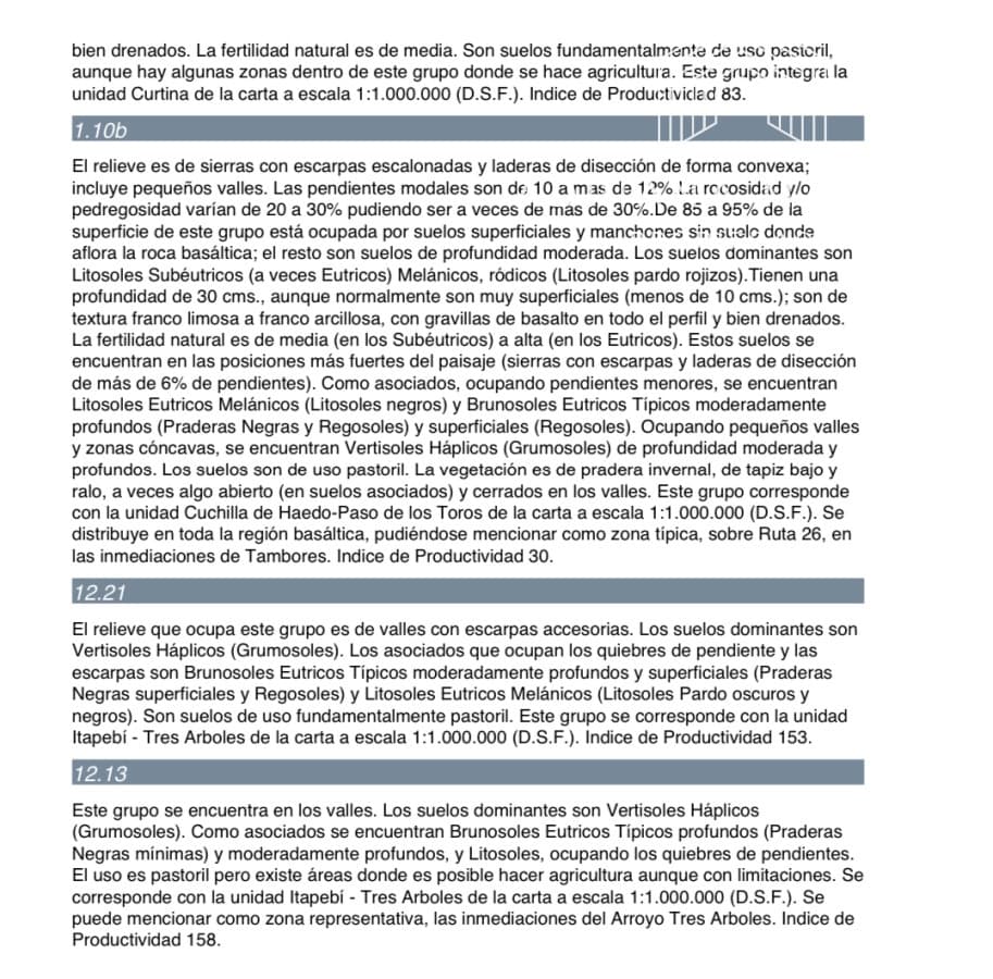Campo agrícola ganadero en paysandu
