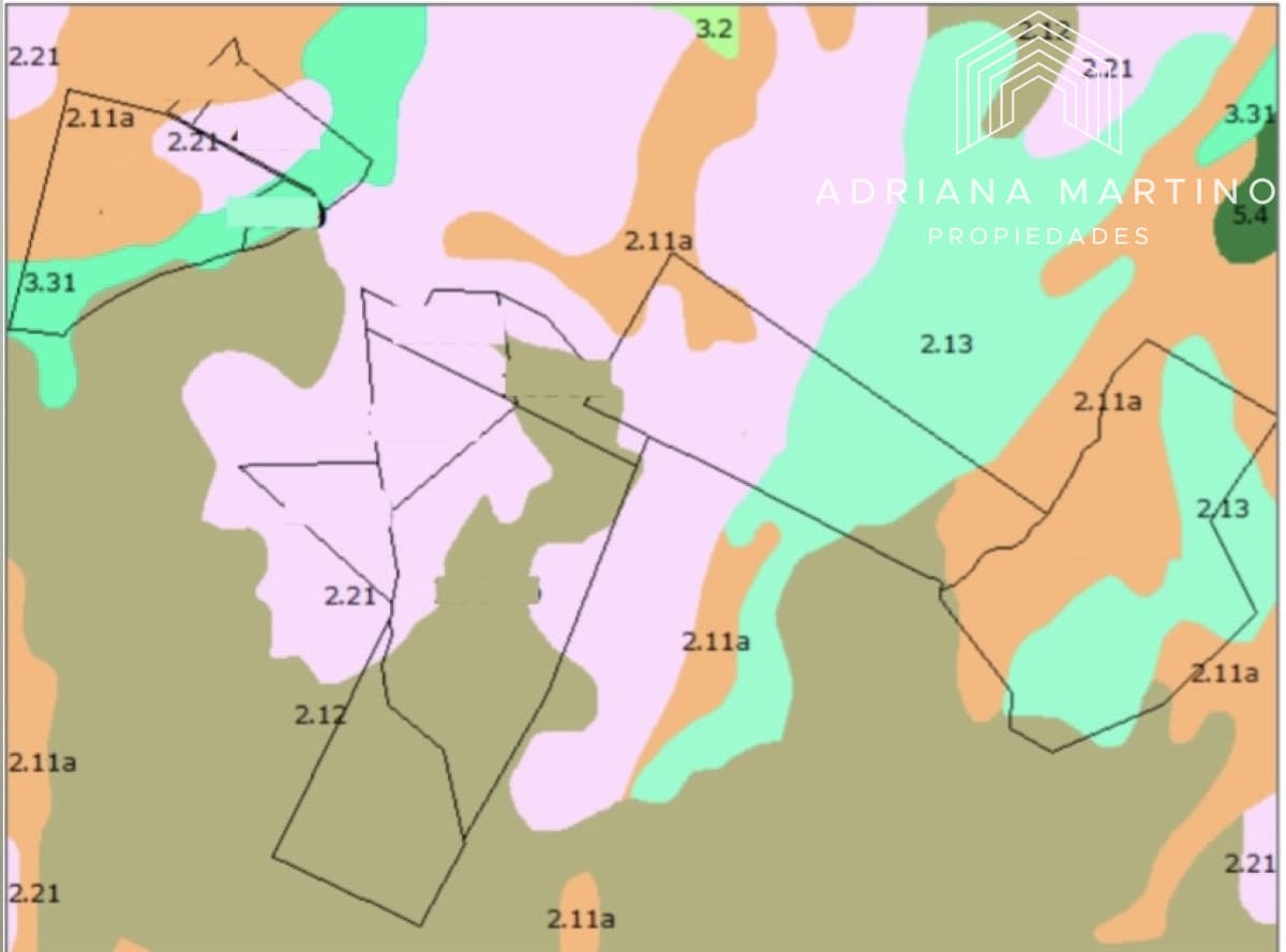Campo en Lavalleja 1186 ha