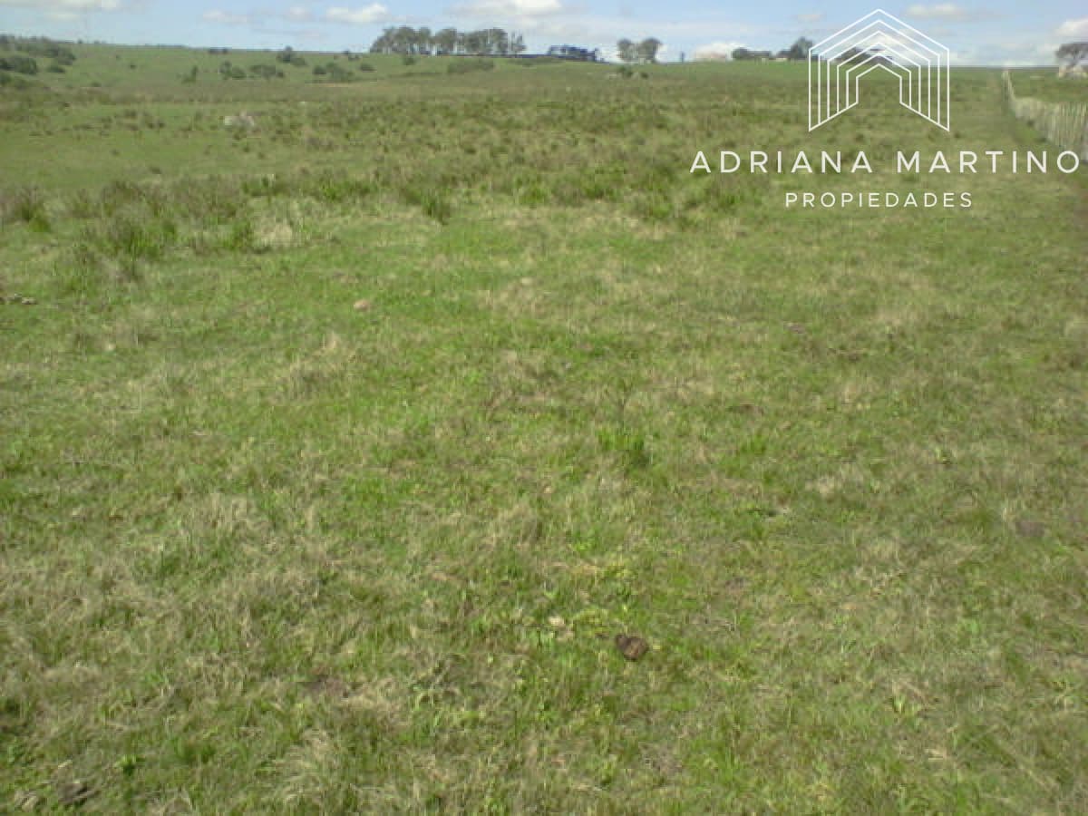 Campo Agricola Ganadero,