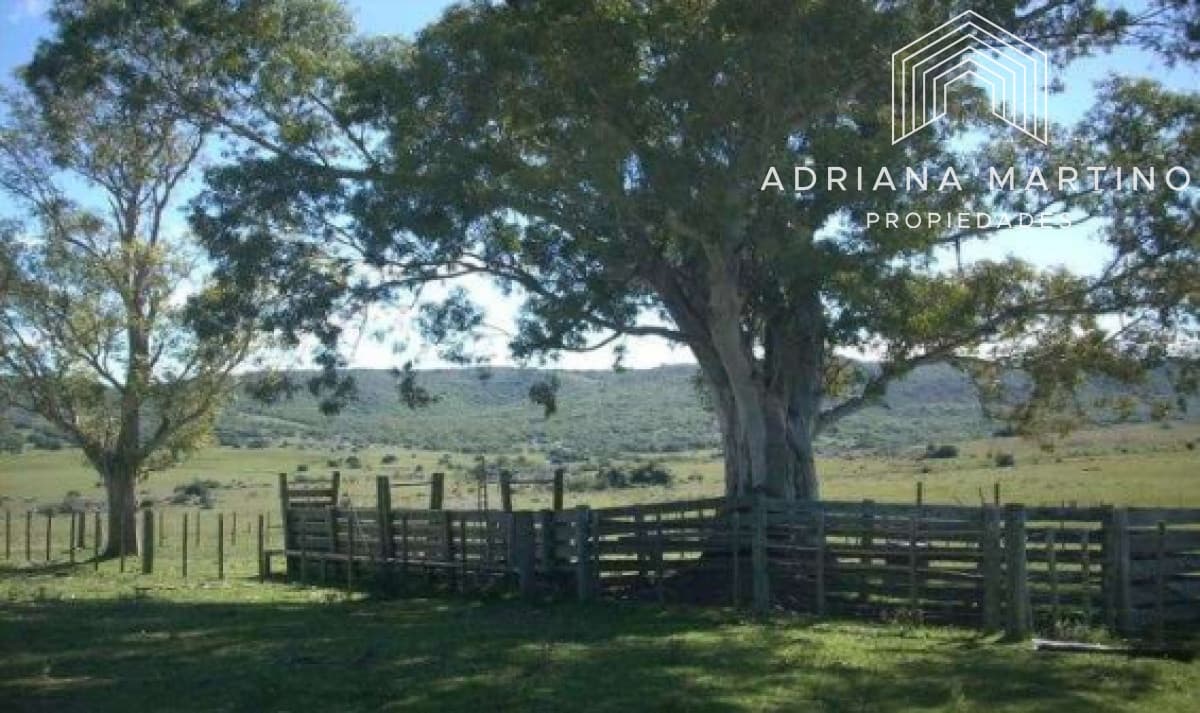Hermoso Campo en Lavalleja .
