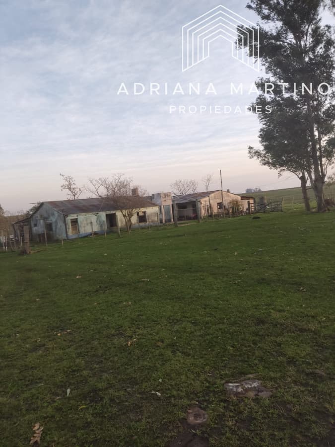 CAMPO GANADERO EN PAYSANDÚ