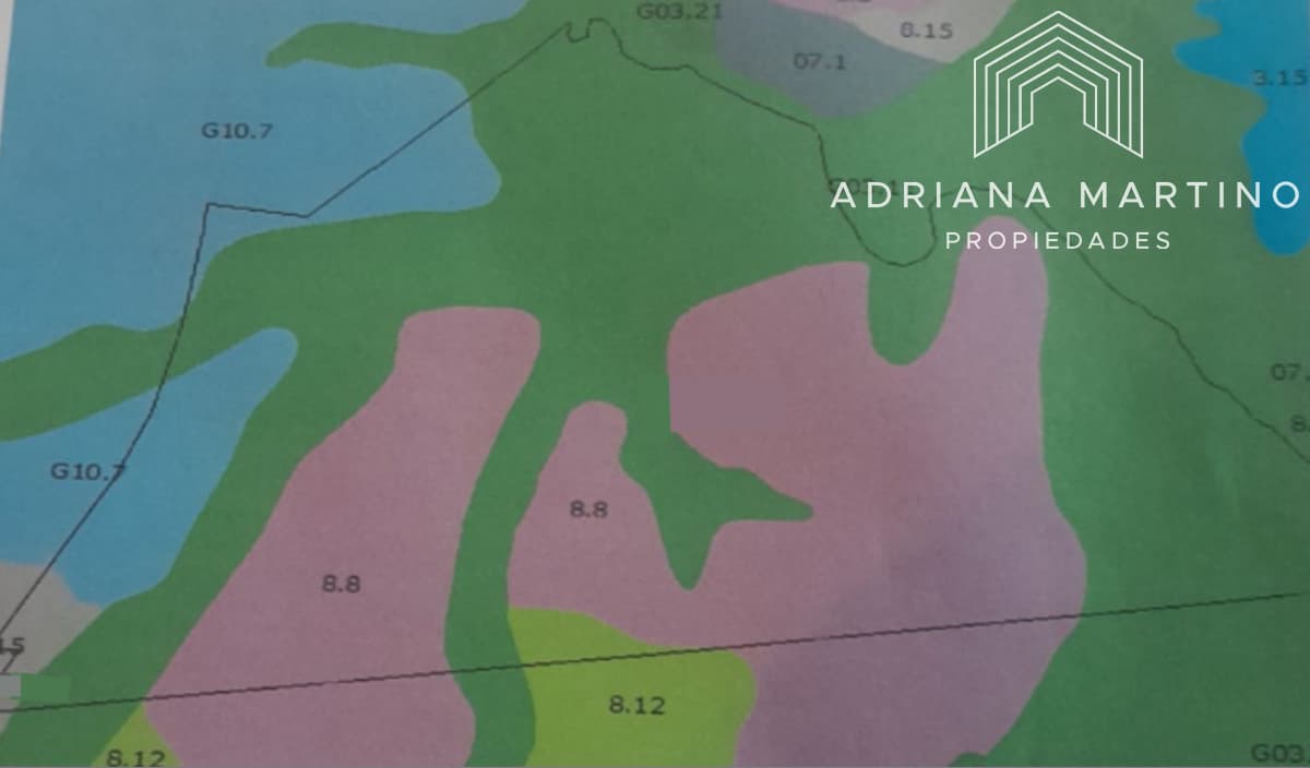 Excelente campo ganadero-agrícola en venta