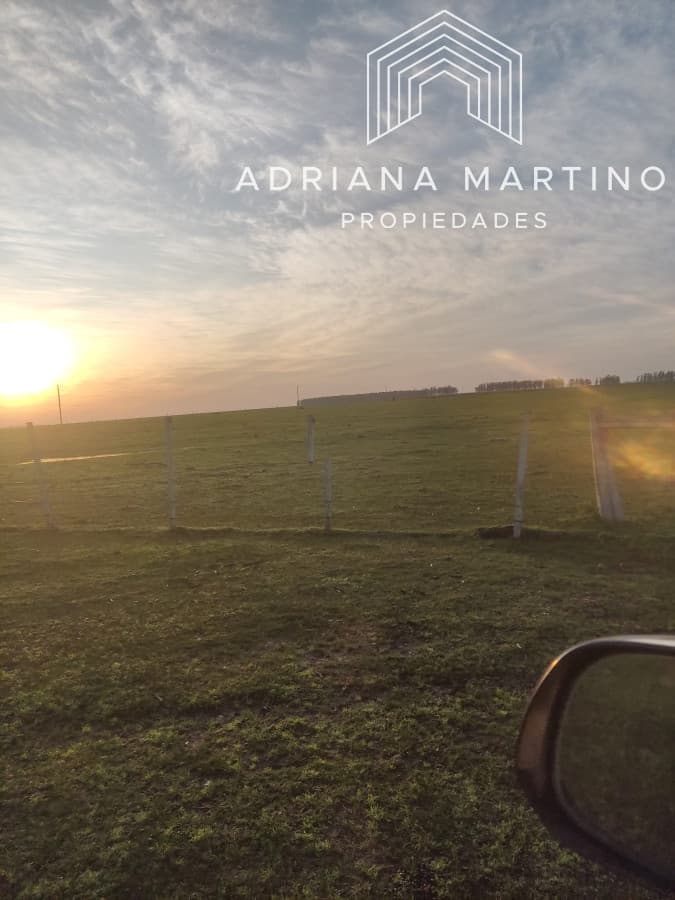 CAMPO GANADERO EN PAYSANDÚ
