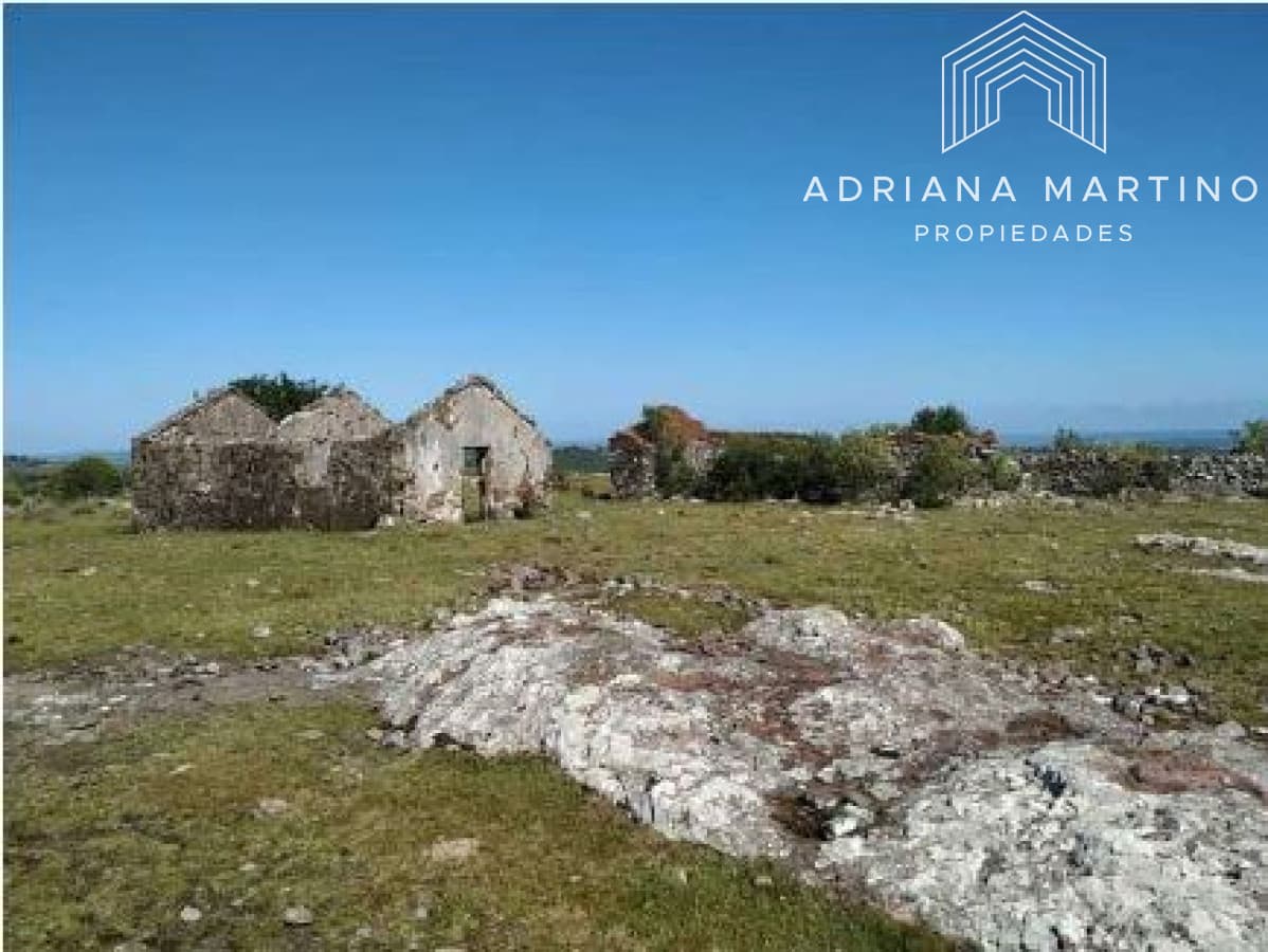 CAMPO GANADERO TURISTICO EN LAVALLEJA