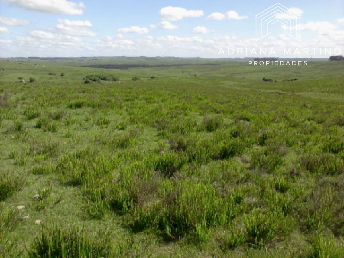 Campo Agricola Ganadero,