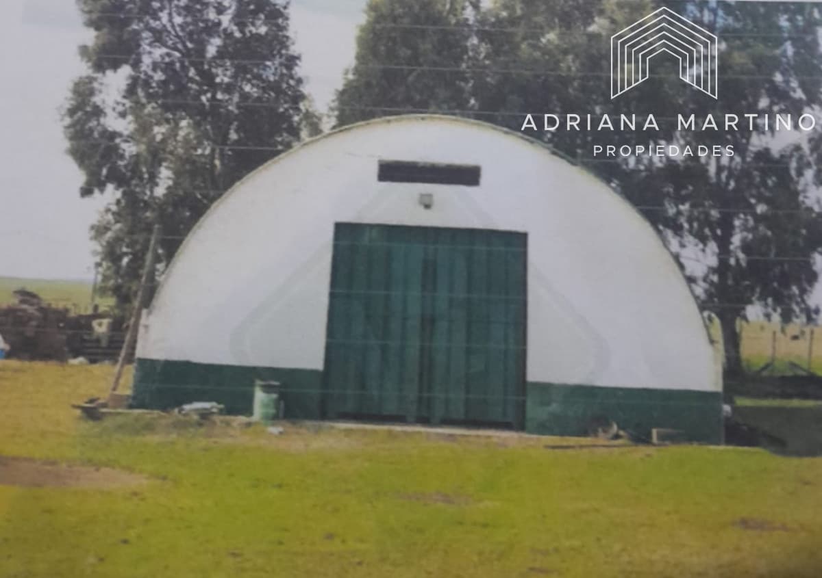 Excelente campo ganadero-agrícola en venta
