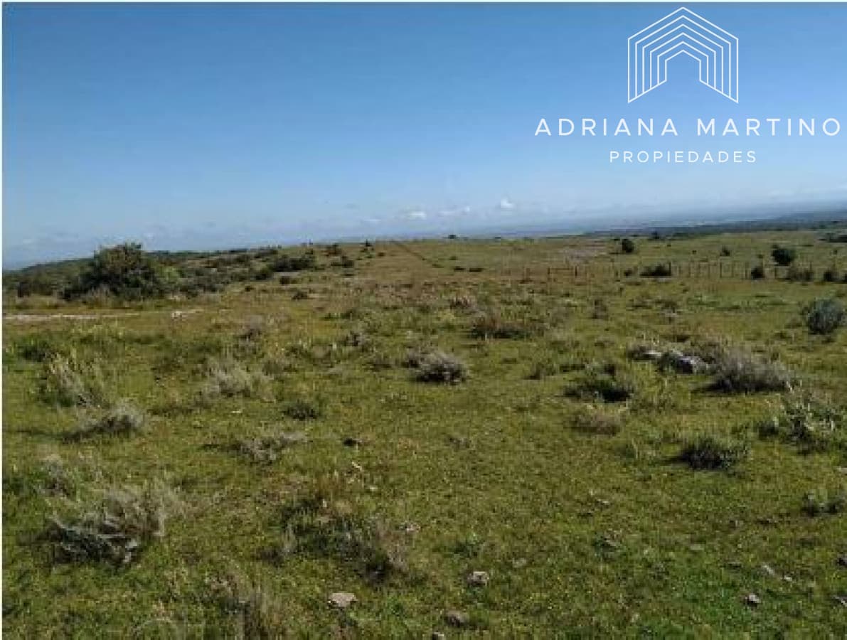 CAMPO GANADERO TURISTICO EN LAVALLEJA