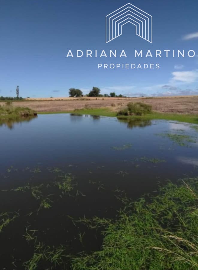 Excelente campo agrícola en lavalleja