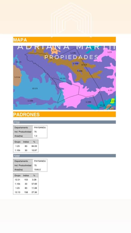 Campo agrícola ganadero en paysandu