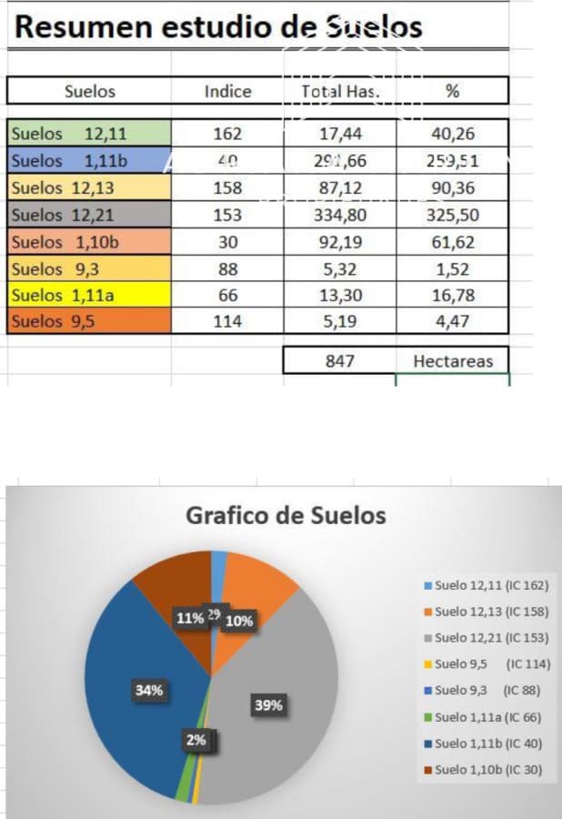 Campo agrícola ganadero en durazno