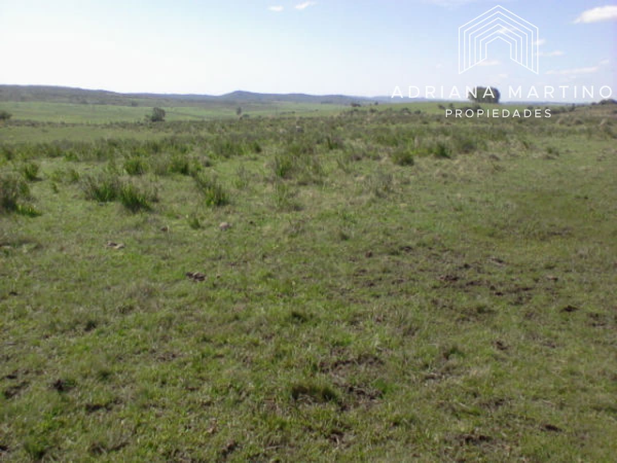 Campo Agricola Ganadero,