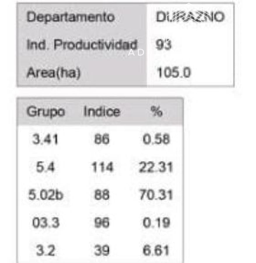 Campo en durazno