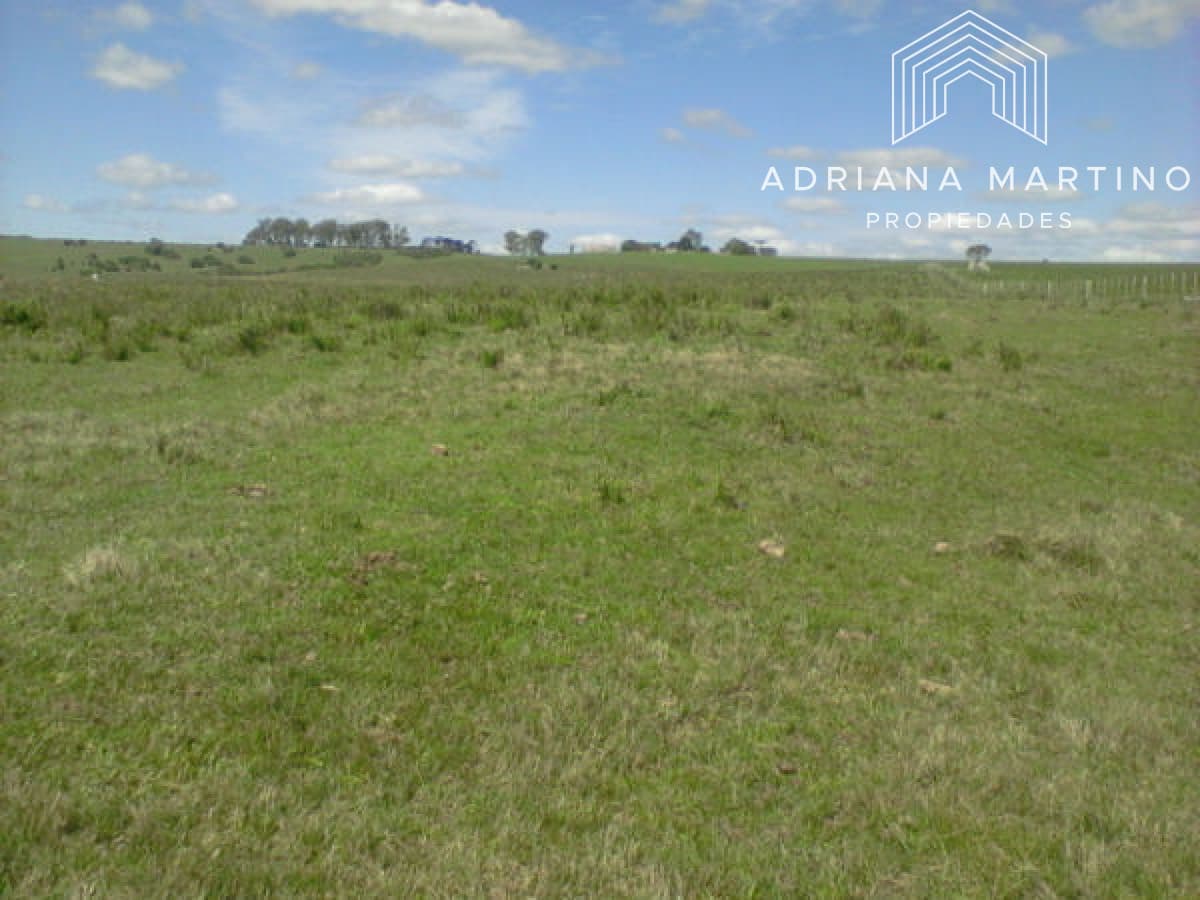 Campo Agricola Ganadero,