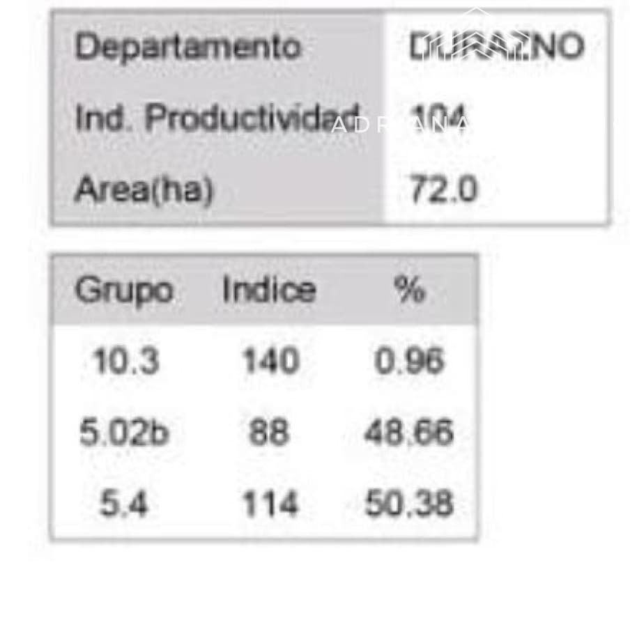 Campo en durazno