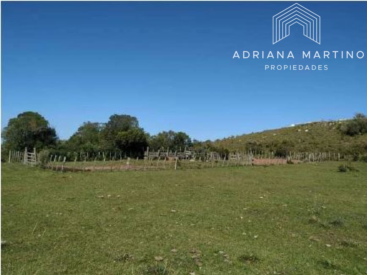 CAMPO GANADERO TURISTICO EN LAVALLEJA