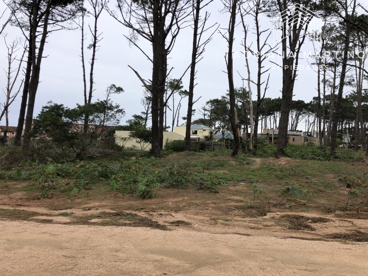Terreno en La Barra, Montoya